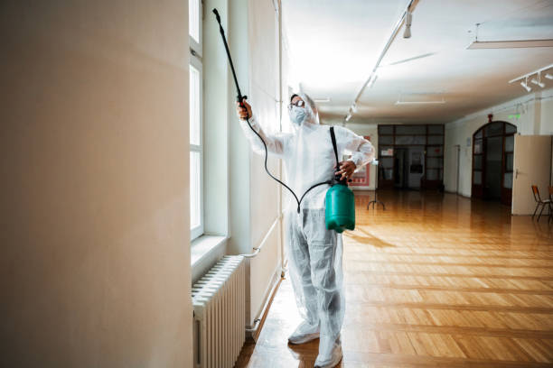 Exterminator in work spraying pesticide or insecticide with sprayer